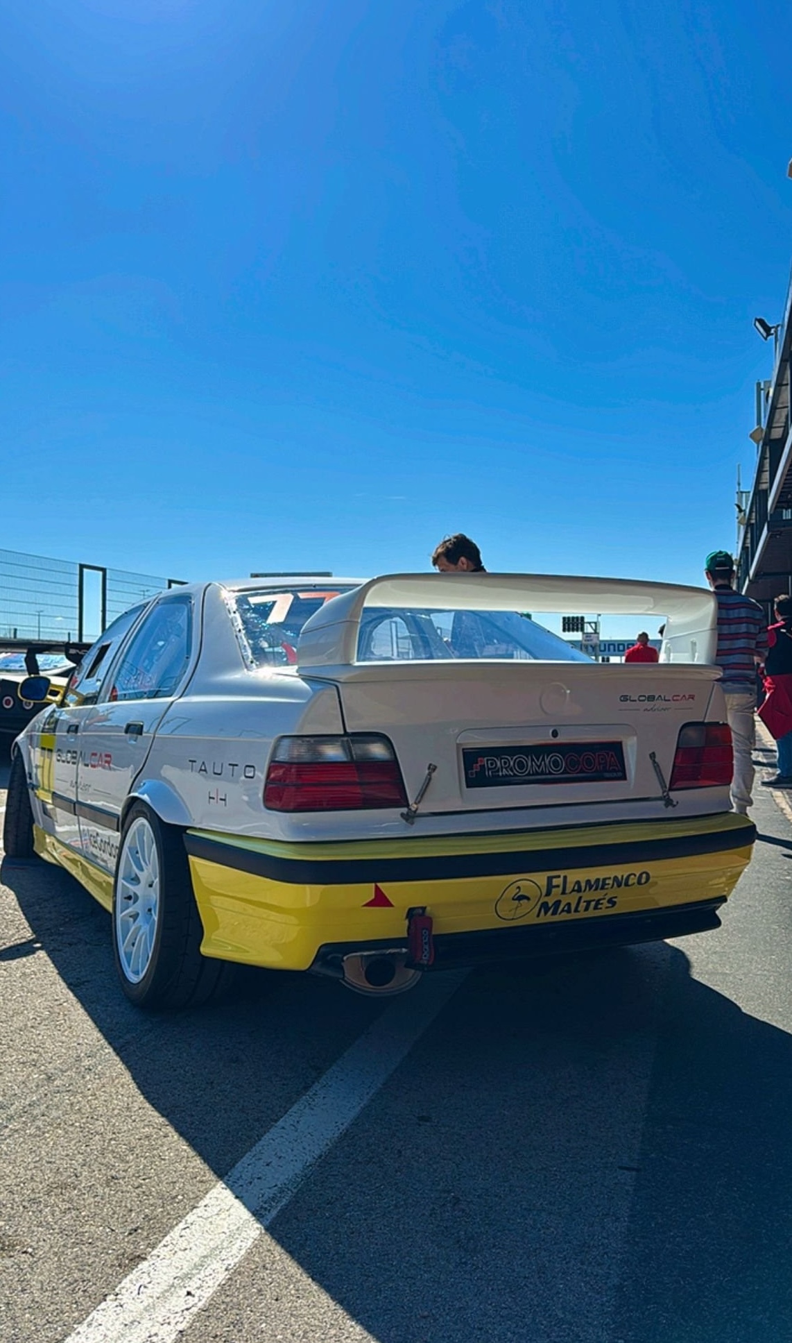 BMW E36 330I M54B30 255CV.