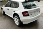 Skoda fabia r5